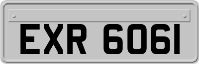 EXR6061
