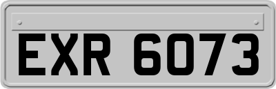 EXR6073