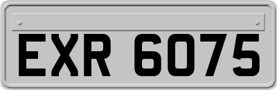EXR6075
