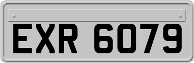 EXR6079