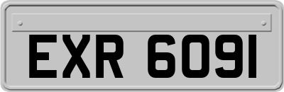 EXR6091