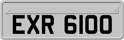 EXR6100