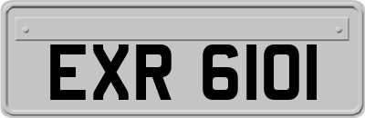 EXR6101
