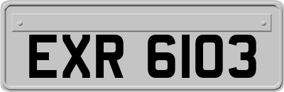 EXR6103