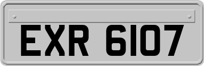 EXR6107
