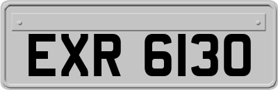 EXR6130