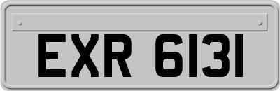 EXR6131