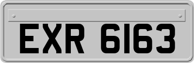 EXR6163