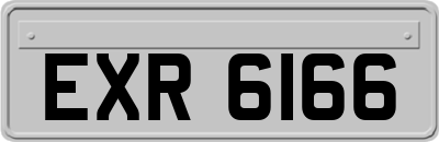 EXR6166