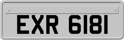 EXR6181