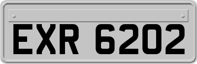 EXR6202