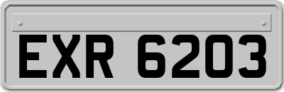 EXR6203
