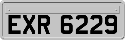 EXR6229