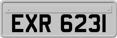 EXR6231