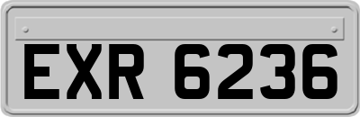 EXR6236