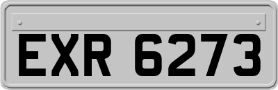 EXR6273