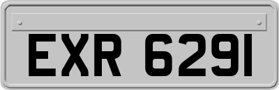 EXR6291