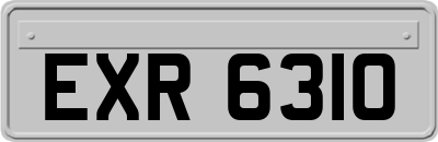 EXR6310