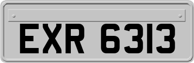 EXR6313