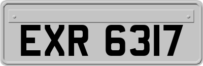 EXR6317