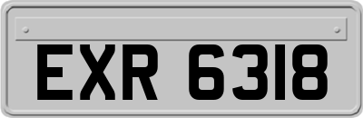 EXR6318