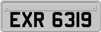 EXR6319