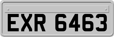 EXR6463