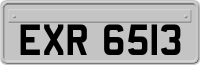 EXR6513