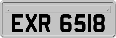 EXR6518