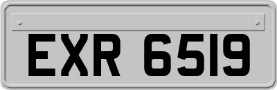 EXR6519