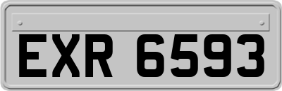 EXR6593