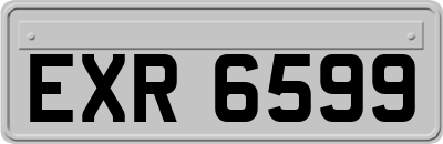 EXR6599