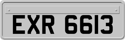 EXR6613