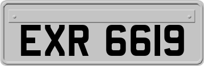 EXR6619