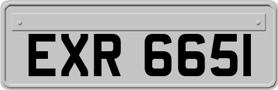 EXR6651