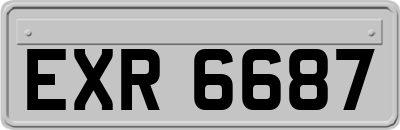 EXR6687