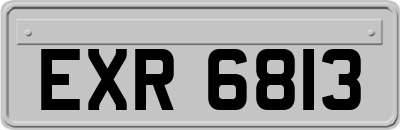 EXR6813
