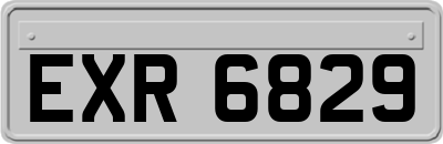 EXR6829