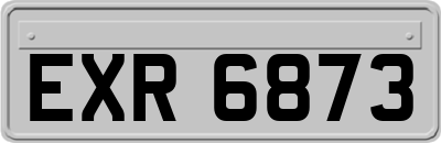 EXR6873