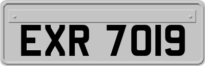 EXR7019
