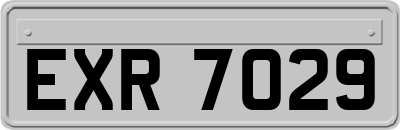 EXR7029