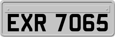 EXR7065