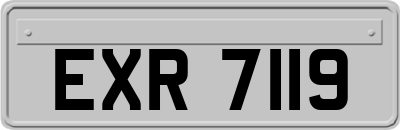 EXR7119