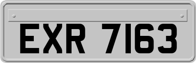 EXR7163