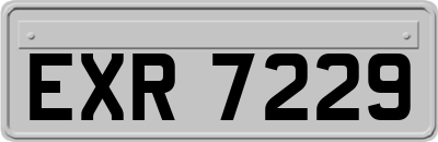 EXR7229