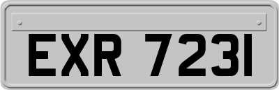 EXR7231