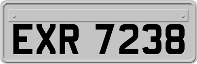 EXR7238
