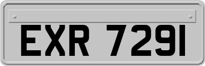 EXR7291