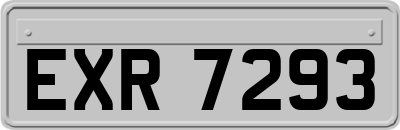 EXR7293