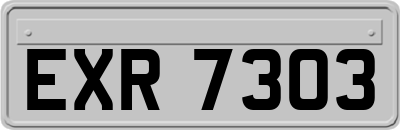 EXR7303